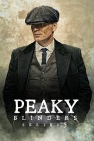 Peaky Blinders (2019) Hindi Season 5 Complete